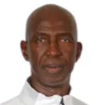 P. Faye