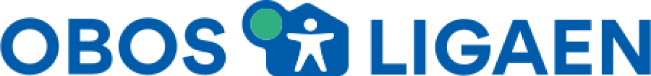 1. Division football.logo