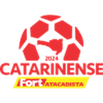 Catarinense - 1 football.logo