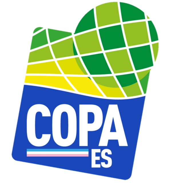 Copa Espírito Santo football.logo