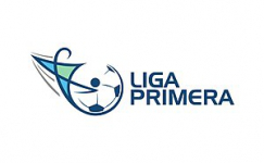 Primera Division Logo