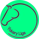 Ýokary Liga
