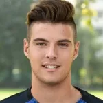 A. Minelli