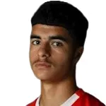 Botan Ameen