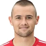 D. Šafarić