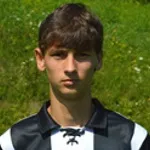 D. Švec