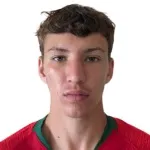 Diogo Travassos