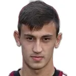 F. Ademi