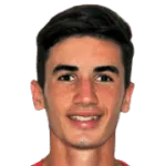 F. Doğan