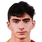 H. Turan