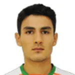 H. Emiroğlu