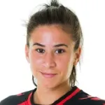 H. Kayikçi