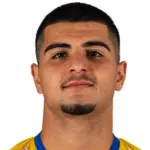 H. Ertürk