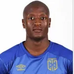 J. Moseamedi