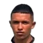 J. Pulgarín