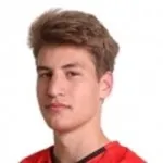 L. Brlek