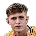 Lucas Vinicius Bugs