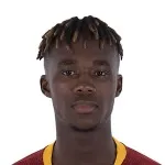 M. Bamba