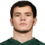 M. Matsuev