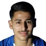 M. Mikhail