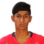 M. Moslemipour