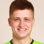 M. Vysotskiy