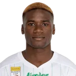 M. Diarra