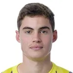 N. Hansen