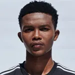 N. Ngiba