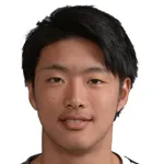N. Yoshikawa