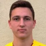 N. Friggieri