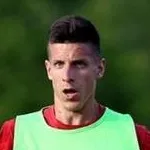 N. Perović
