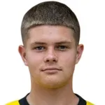 N. Cherny