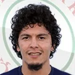 O. Berber