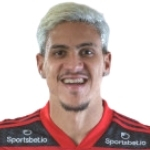 Pedro Photo