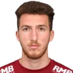 R. Andronic