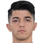 Ş. Dik