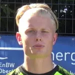 T. Stelzl