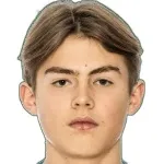 Z. Råvik