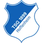 1899 Hoffenheim W logo