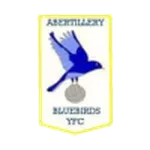 Abertillery Bluebirds logo