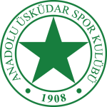 Anadolu Üsküdar Logo