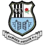 Bashley logo