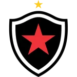 Botafogo PB U20 logo
