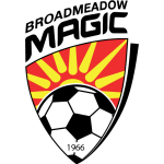 Broadmeadow Magic football.logo