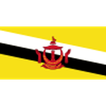 Brunei Logo