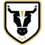 Bulls Academy football.logo