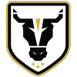 Bulls Academy