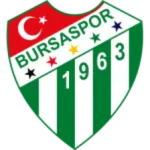 Bursaspor U19 logo