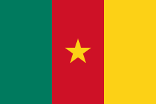 Cameroon U17 Logo